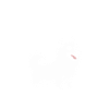 Humour chien Spitz