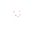 Humour chien Spitz