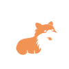 Humour chien Spitz