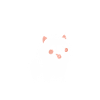 Humour chien Spitz