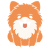 Spitz