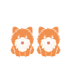 Humour chien Spitz