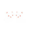 Humour chien Spitz