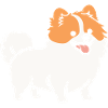 Spitz