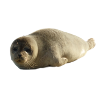 Heuler