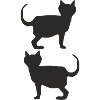 Cats Black