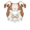 Bulldog