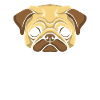 Pug Dog