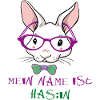 Hase mit Sonnenbrille Ostern