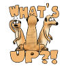 What's up?!