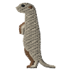 Embroidered meerkat