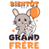 bientot grand frère