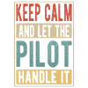Pilot Retro Geschenk