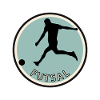 Futsal Ball Sports