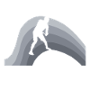 Disc Golf Disc