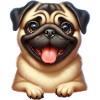 A happy pug