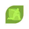 Cricket Cricket Pitcher