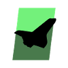 Aerospace Engineering Flying Flying