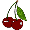Cherries