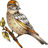 Bunter Vogel