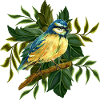 Bunter Vogel