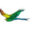 Vogel