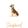 Schäferhund Herrchen Rassehund Deutsch