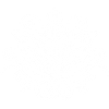 Mandala lotus blanc