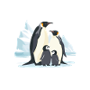 Antarctica - The International Continent