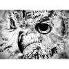 OWL B&W
