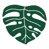 monstera leaf