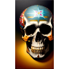 Mexican Skull