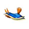 Chromodoris Annae