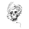 Snake Skull