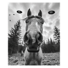 Cheval - Alien American Quarter OVNI
