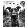 Dog - Alien Anatolian Shepherd UFO