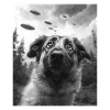 Dog - Alien Anatolian Shepherd UFO
