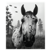 Cheval - Alien Selfie Appaloosa UFO