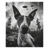 Chien - Alien Selfie Basenji UFO