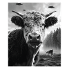aKuh - Alien Selfie Galloway OVNI