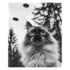 Cat - Alien Selfie Birman UFO