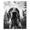 Chien - Alien Selfie Bloodhound UFO