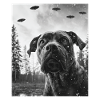 Chien - Alien Selfie Boerboel UFO