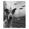 Chien - Alien Selfie Barzoi Ovni