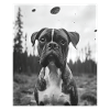 Dog - Alien Selfie Boxer UFO