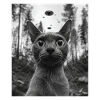 alienCat - Alien Selfie Burmese UFO
