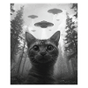 Chat - Alien Selfie Burmilla OVNI