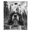 Chien - Alien Selfie Cavalier UFO