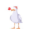 Moin Möwe