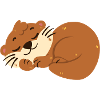 Otter sleeps
